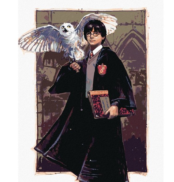 Malování podle čísel Harry Potter a Hedvika v Bradavicích alt=