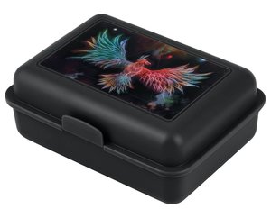 Box na svačinu Fénix-1