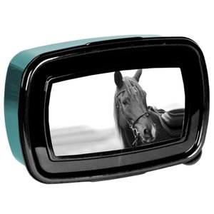 Box na svačinu Kůň černo-modrý-1