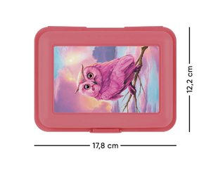 Box na svačinu Sova-2