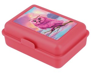 Box na svačinu Sova-1
