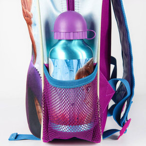 Dětský batoh 3D Frozen s lahví-2