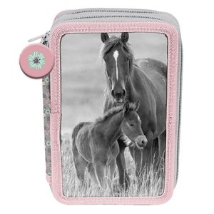 Dvoupatrový penál Koně-1