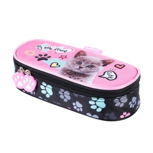 Školní pouzdro Cat-1