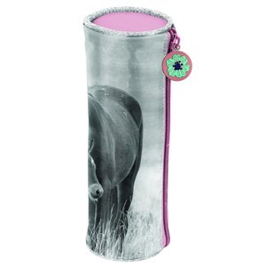 Školní pouzdro Koně-3