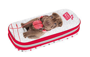 Školní pouzdro Shar pei-1