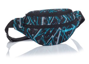Ledvinka HD-258-1