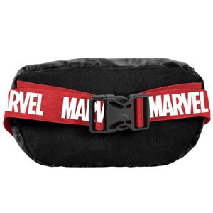 Ledvinka Marvel-2
