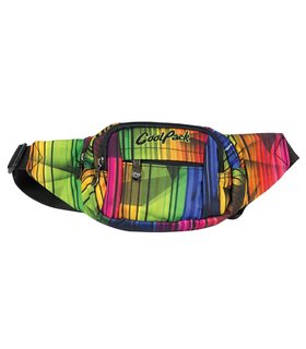 Ledvinka Motion Calipso-1