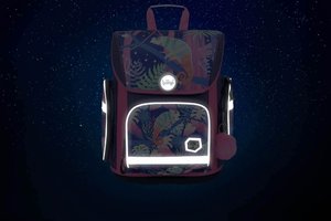 Školní aktovka Ergo Chameleon-13