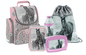Školní set Koně šedo-růžový 5dílný-1
