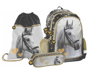 Školní set Kůň-1