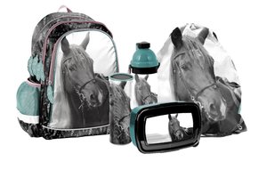 Školní set Kůň černý 5dílný-1