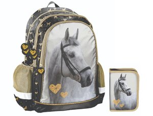 Školní set Kůň zlatý-1