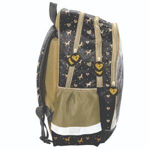 Školní set Kůň zlatý-3