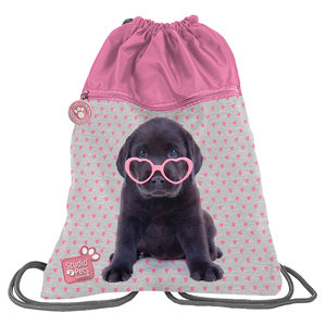 Vak na záda Pes v brýlích pevný-1