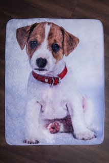 Mikroflanelová deka Jack Russel terrier-2