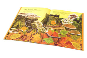 BROUČCI, MOTÝLI a další potvůrky – Kniha samolepek-5