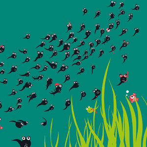 KDE JE ŽABKA ELLA? – Pohlaď a najdi!-3