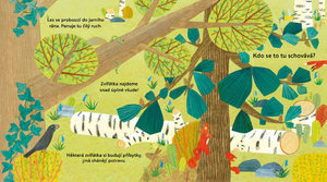 Kdo se to tu schovává? V LESE – Knížka s odklápěcími okénky-2