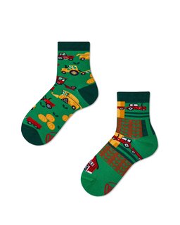 Ponožky dětské Happy harvest kids 23-26-1