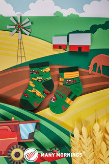 Ponožky dětské Happy harvest kids 27-30-2