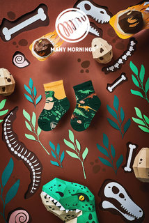 Ponožky dětské The dinosaurs kids 23-26-2