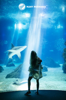 Ponožky klasik Ocean life 39-42-4