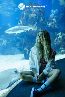 Ponožky klasik Ocean life 43-46-5