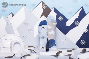 Ponožky klasik Polar bear 35-38-2