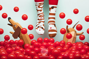 Ponožky klasik Sausage dog 43-46-2