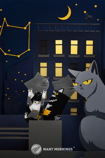 Ponožky nízké Black cat low 39-42-2