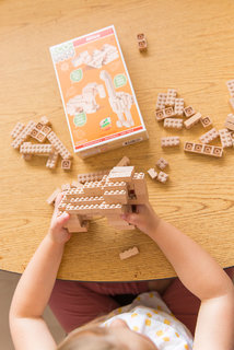 Eco-bricks 3v1 Afrika-4