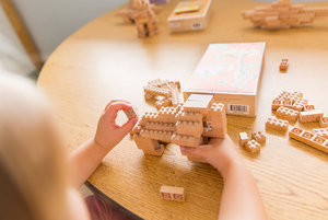 Eco-bricks 3v1 Afrika-6