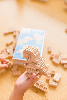 Eco-bricks 3v1 Exotické ptactvo-4