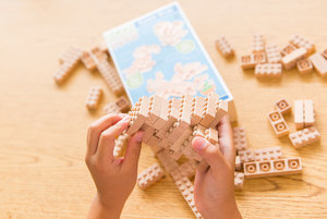 Eco-bricks 3v1 Exotické ptactvo-5