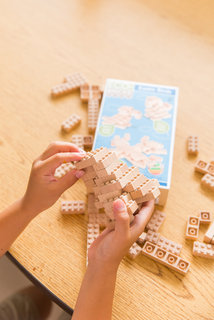 Eco-bricks 3v1 Exotické ptactvo-6