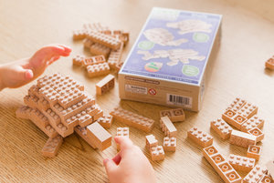 Eco-bricks 3v1 Zvířátka-6