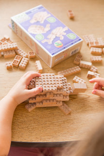 Eco-bricks 3v1 Zvířátka-5