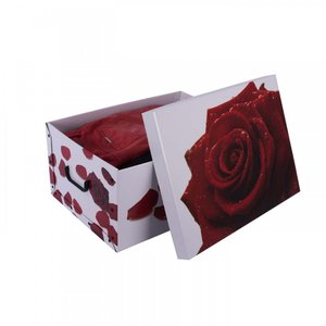 Úložný box Rose red midi-2
