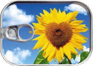 Konzerva na peníze Slunečnice-1