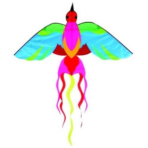 Létající drak Phoenix-1