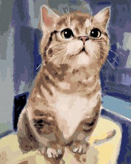 Malování podle čísel - Zvědavá kočka-1