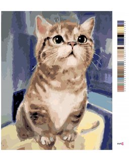 Malování podle čísel - Zvědavá kočka-3