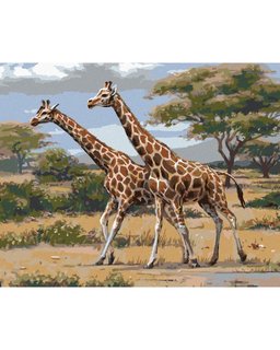 Malování podle čísel Africké Safari žirafy-1
