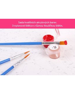 Malování podle čísel Anime dívka s drakem-5