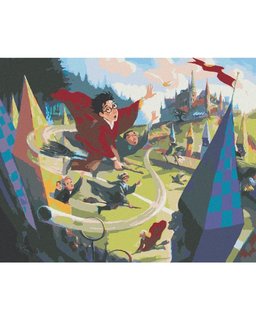 Malování podle čísel Famfrpál (Harry Potter)-1