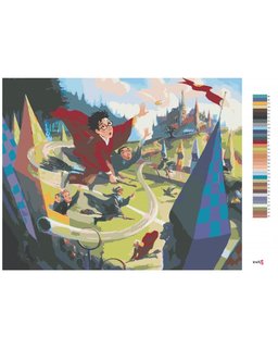 Malování podle čísel Famfrpál (Harry Potter)-3