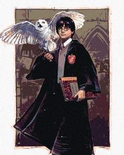 Malování podle čísel Harry Potter a Hedvika v Bradavicích-1