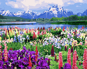 Malování podle čísel Hory 30x40 cm-1